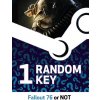 Fallout 76 or Not - Random 1 Key (PC) Steam Key 10000505521001