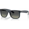 Ray-Ban RB4165 681311