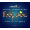 Malý princ - muzikál - Vít Pokorný, Richard Bergman, Daniel Barták, Český rozhlas/Radioservis