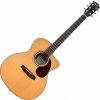 Pasadena PGC-200 Natural Akustická gitara Jumbo