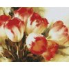 Diamantové malování - Barevné tulipány - 40x50 cm