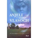 Anjeli v mojich vlasoch - Lorna Byrneová