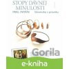 E-kniha Stopy dávnej minulosti 1. - Pavel Dvořák