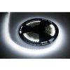 LED pásik -25m Rebel (60x5050SMD/m), studená biela, 12V