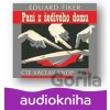 Paní z šedivého domu - Eduard Fiker
