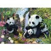 DINO Puzzle Secret Collection: Pandy 1000 dílků