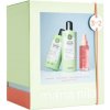 Structure Repair Holiday Box