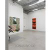 Jonas Wood: Plants and Animals