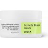 Cosrx Centella Blemish Cream Zklidňující pleťový krém 30 g