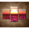 Farebné kvety pri západe - 3dielny 90x60cm