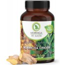 Moringa & Ginger Caribbean 120 kapsúl