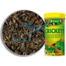 TROPICAL-CRICKETS 100ml