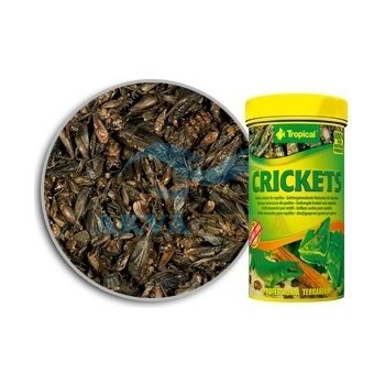 TROPICAL-CRICKETS 100ml