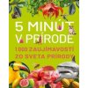 5 minút v prírode