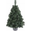 Vianočný stromček v kvetináči Borovica FREYA 110 cm, Zelená, 110 cm
