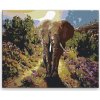 Maľovanie podľa čísel - Slon pri východe slnka - 100x80 cm, plátno vypnuté na rám - výroba CZ