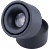 Abigali Commercial stropné svietidlo 1x12 W čierna MZTD-B-12-20WW
