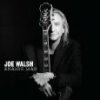 WALSH JOE - ANALOG MAN (1CD)