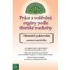 Práce s vnitřními orgány podle tibetské medicíny - Elvira Schneider
