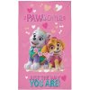 DETEXPOL Detský uterák Paw Patrol srdiečka Bavlna Froté, 50/30 cm