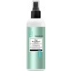 MARION Professional Styling Lotion For Straight Hair 200ml - sprej na vyrovnanie vlasov