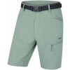 Husky pánske šortky Kimbi M light green