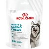 Royal Canin Joint & Ageing Chews Adult Supplements 240 g