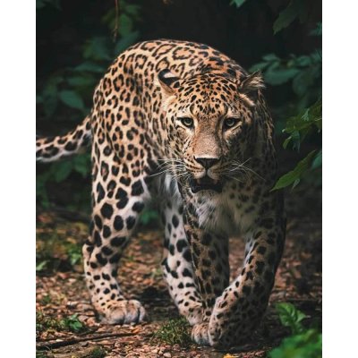 JERRY FABRICS Plyšová deka Leopard green