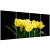 Tulipány - obraz (Obraz 160x80cm)