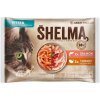SHELMA Cat Kitten losos morka 4 x 85 g