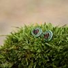 Art & Nature Dámske náušnice srdiečko zelené kamienky Swarovski 17663130