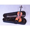Dowina Pierre Marin Salieri 4/4 Violin Set