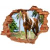 Diera 3D fototapeta na stenu Pinto kôň 90x70 cm