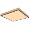 Globo | Globo 416080WD2 - LED Stropné svietidlo DORO LED/24W/230V | GL6453