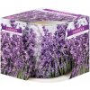 Bispol Lavender 100 g