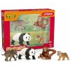 Schleich Wild Life Asia startovací sada