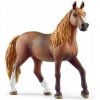Schleich 13953 Klisna plemene peruánský Paso