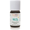 Hanus Eukalyptová silica, 10 ml