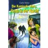 Die Kaminski-Kids - Raub in der Nacht (Carlo Meier,Lisa Gangwisch)(Pevná)