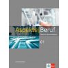 Aspekte Beruf C1 (Corinna Gerhard,Stephanie Mock-Haugwitz,Anna Pohlschmidt)(Brožovaná)