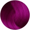 FANOLA No Yellow Color Cream 100ml - Violet Toner T.VIO