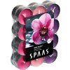 SPAAS Čajové sviečky vonné 24ks MIX orchidea