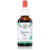 Salvia Paradise Gymnéma lesní tinktura tinktúra na udržanie normálnej hladiny cukru v krvi 50 ml