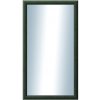 DANTIK - Zrkadlo v rámu, rozmer s rámom 50x90 cm z lišty LEDVINKA zelená (1443)
