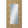 DANTIK - Zrkadlo v rámu, rozmer s rámom 50x90 cm z lišty KŘÍDLO ozdobné zlaté (2890)