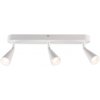 Livarno home Stropné LED svietidlo (oválny/biely) (100383058)