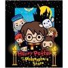 E plus M · Detská deka Harry Potter s priateľmi - nano coral s gramážou 220 gr./m² - 120 x 150 cm