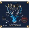 Griša - Světlo a stíny (audiokniha) - Leigh Bardugo