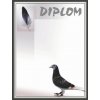 TROFEJE.sk Diplom 26