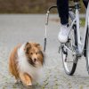 Trixie dog vodiace set na bicykel 2,5cm/1-2m